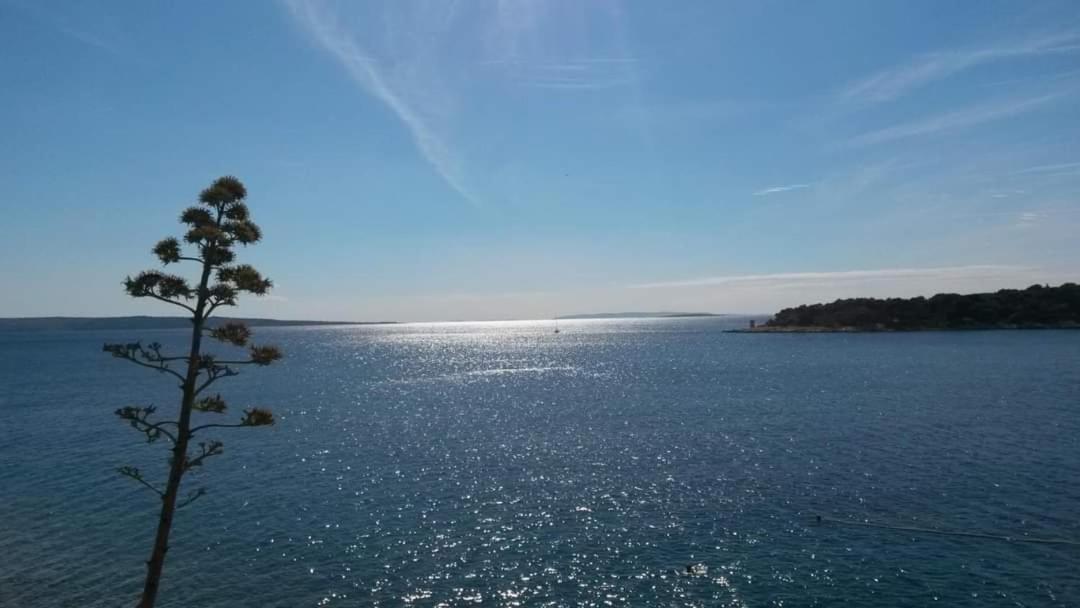 Apartman Belisima Deluxe Supetarska Draga Exterior photo